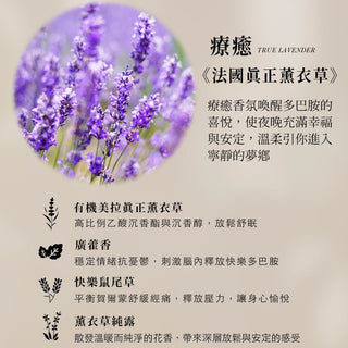 BOBDOG 益生菌舒眠香氛 典藏禮盒 4