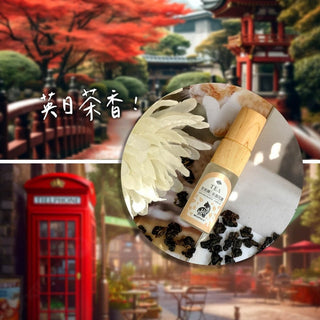旅行貓 9 件組旗艦禮盒 4